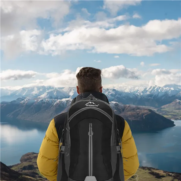 Mugursoma Springos CS0132 60L