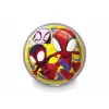 Kamuolys Spidey Amazing Friends 230 mm PVC