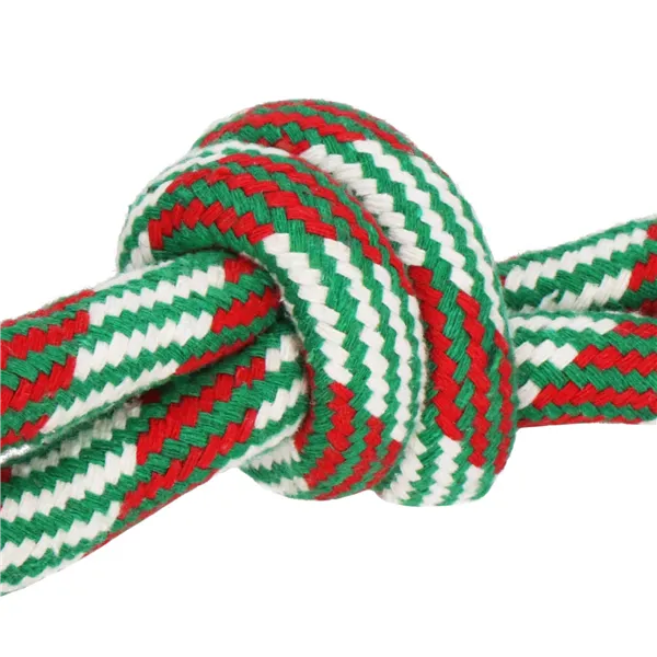 Žaislas šuniui Springos PA0278