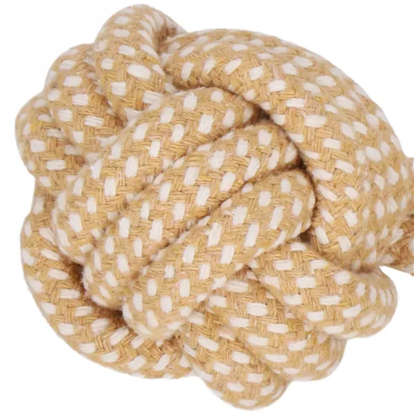 Игрушка для собак Springos PA0280