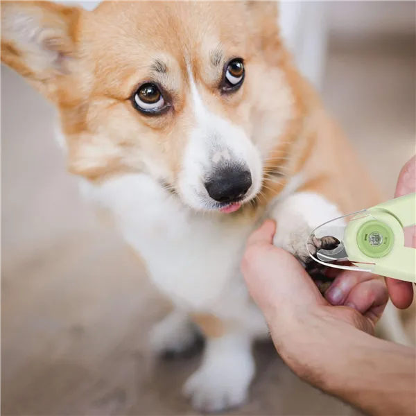 Lemmikkien kynsisakset Springos PA0312