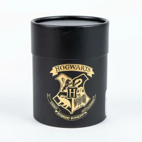 Zeķes Harry Potter