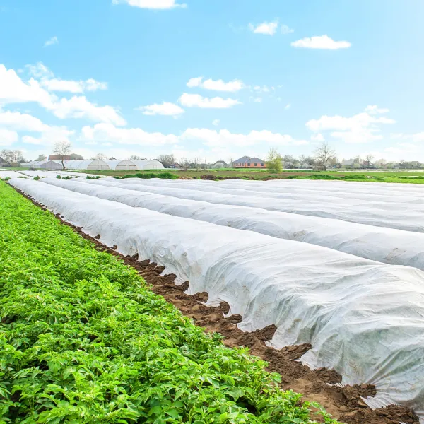 Žieminė agrotekstilė Springos AG0012 17g/m2 20x3,2m balta