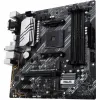 MARY'S CAPIBARA FLORIST RGB