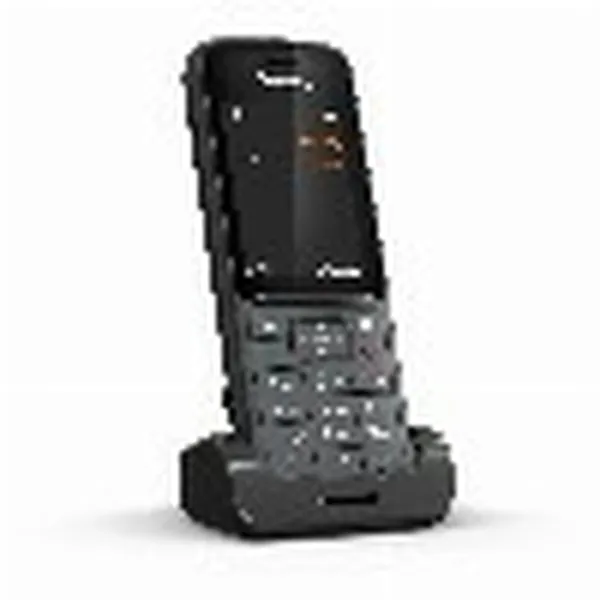 Разглаживающий волосы шампунь Risfort 8436006861604 1 L