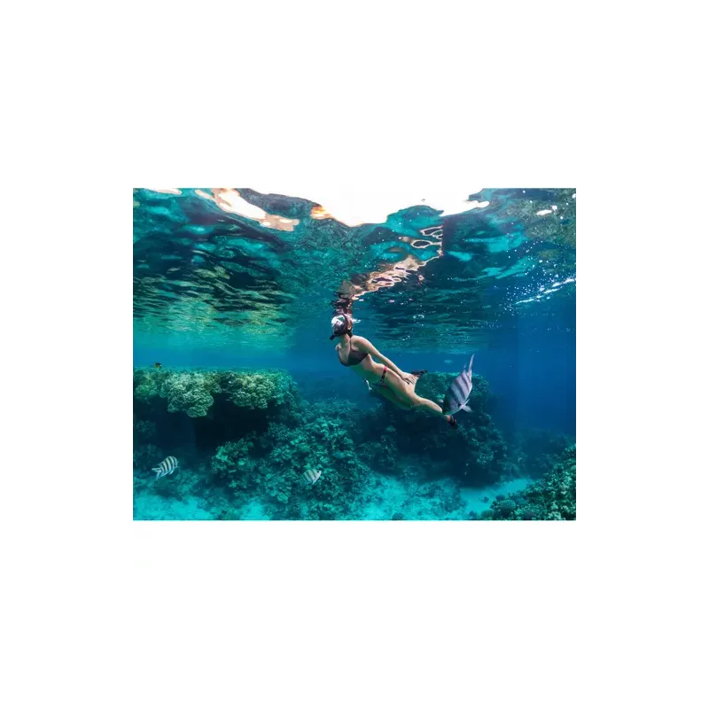 Full face snorkeling mask S/M part 23469