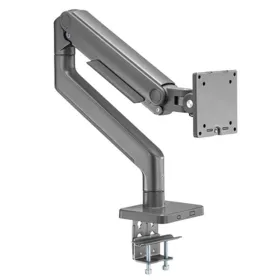 Skrybėlė Ewent EW1529 17" 49" 20 kg