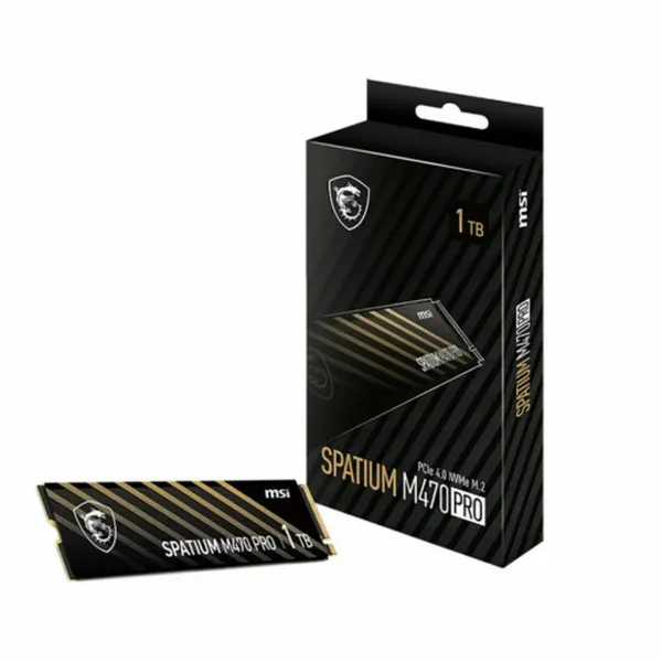 Cietais Disks MSI S78-440L0J0-P83 1 TB SSD