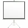 Projection Screen Phoenix TRIP-200 112