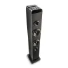 Portable Bluetooth Speakers NGS SKY CHARM PRO