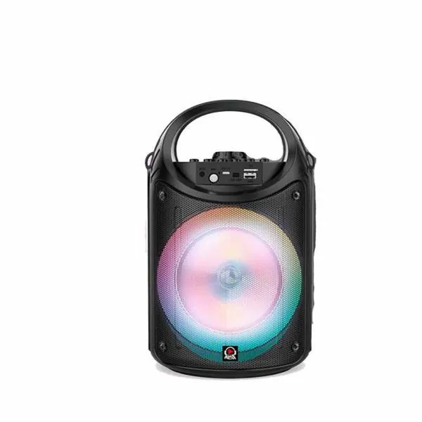 Portatīvais Bluetooth Skaļrunis ar Mikrofonu Reig