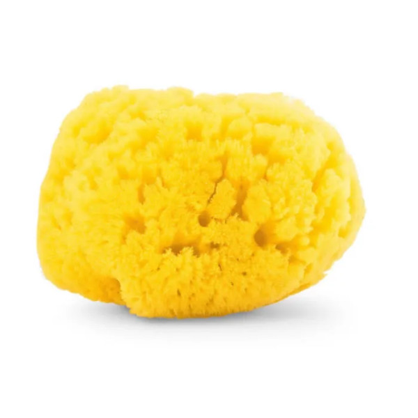 Chicoo Natural Esponja jahtu osta