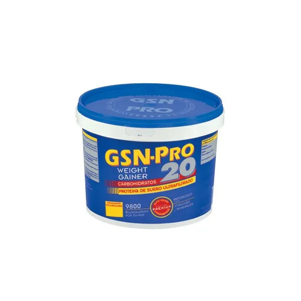 Gsn Pro 20 Шоколад 2,5 кг