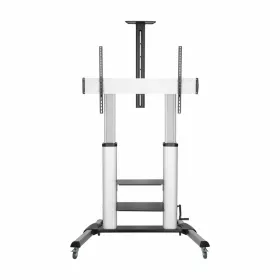 TV laikiklis Aisens FT100TE-125 100" 60-100"