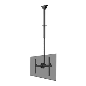 Настольная подставка для экрана Neomounts CL35-440BL16L 70" 37" 50 kg