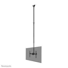 Настольная подставка для экрана Neomounts CL35-440BL16XL 70" 37" 50 kg