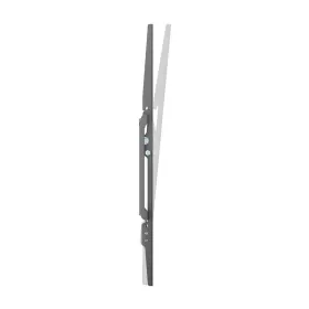 TV laikiklis Aisens WT75T-391 32" 75"
