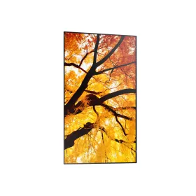 Dzīvnieku sūkalas, cepumi un krējums - 2270g