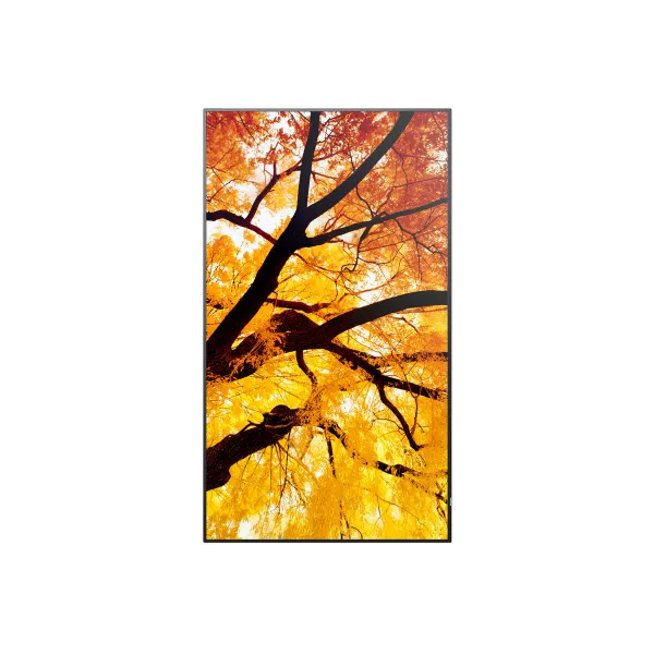 Suuri tilavuus (uusi koostumus), meloni-marjakierre - 270 g