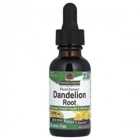 Dandelion Root - 30 ml.