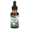 Echinacea Root - 30 ml.
