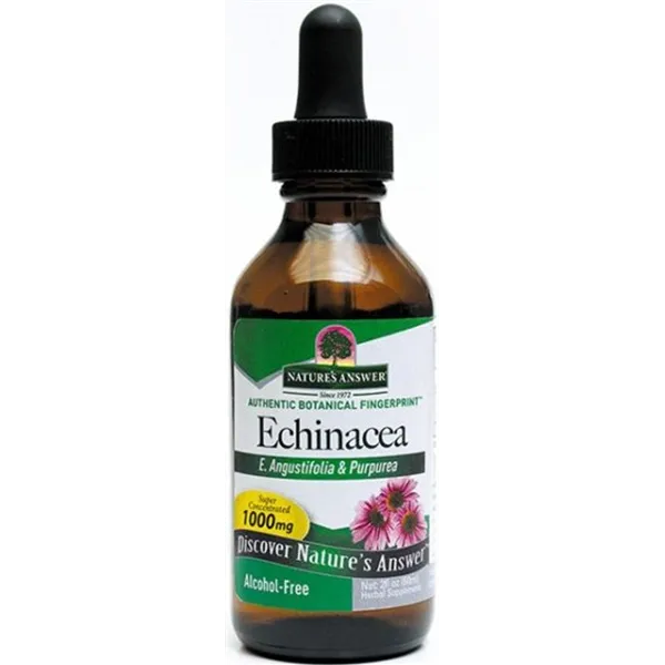 Echinacea Root, 1000mg - 60 ml.