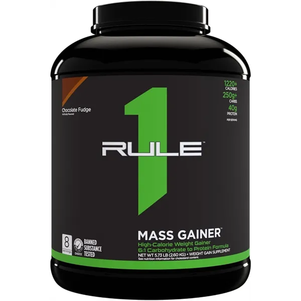 Mass Gainer, Chocolate Fudge - 2600g