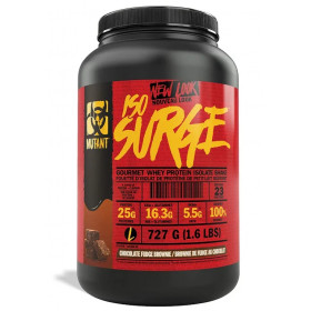  Iso Surge, šokolādes fudža braunijs - 727g