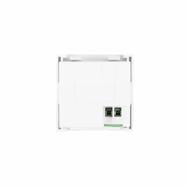 Salierų sėklų ekstraktas - 60 v kapsulių