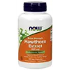 Hawthorn Extract, 600mg Extra Strength - 90 vcaps