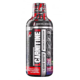 L-Carnitine 3000, Berry - 473 ml.