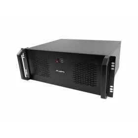 Kvercetinas, 500 mg – 100 v kapsulių