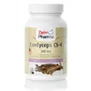 Kordicepss CS-4, 500 mg - 120 kapsulas