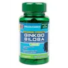 Maksimaalisen vahvuuden ginkgo biloba, 120 mg - 100 kaps.