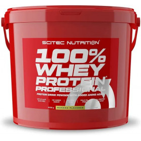 100% Whey Protein Professional, Chocolate - 5000g