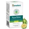 AyurSlim - 60 kaps.