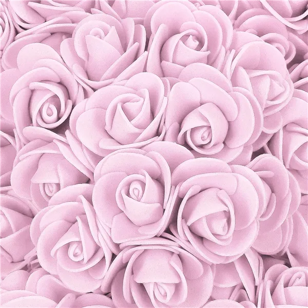 Rose Bear Springos HA7221