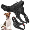 Säädettävä koiran valjas Springos PA0303, koko S, 10-18 kg, paineeton, musta