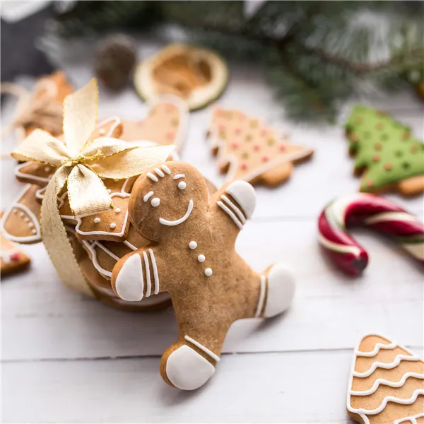 Metal Christmas Cookie Cutters Springos KI0121 10 pcs.