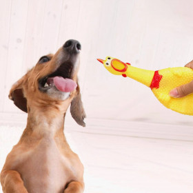 Kumi koiranlelu, vinkuva kana Springos PA0272 37 cm