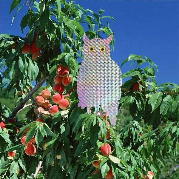 Lintukarkotin Springos GA0070, heijastava holografinen pöllö kelloilla, suoja kottaraisia ja varpusia vastaan