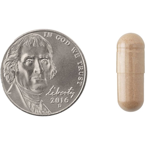 Pycnogenol, 50 mg - 60 kaps.