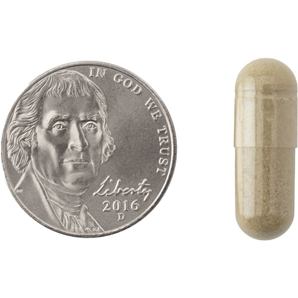 Ginkmedis, 120 mg - 60 kapsulių