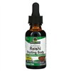Reishi Fruiting Body - 30 ml.