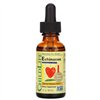 Echinacea, Natural Orange - 30 ml.