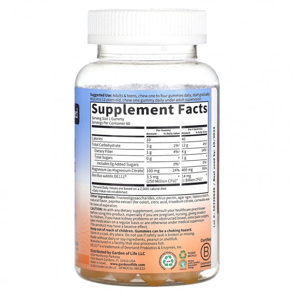 Dr. Formulated Magnesium with Pre & Probiotics Gummies, Orange Creme - 60 gummies