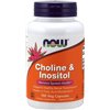 Choline and Inositol - 100 vcaps
