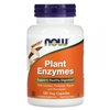 Plant Enzymes - 120 vcaps 