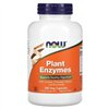 Plant Enzymes - 240 vcaps