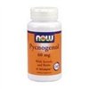 Pycnogenol with Acerola & Rutin Powder, 60mg - 50 vcaps